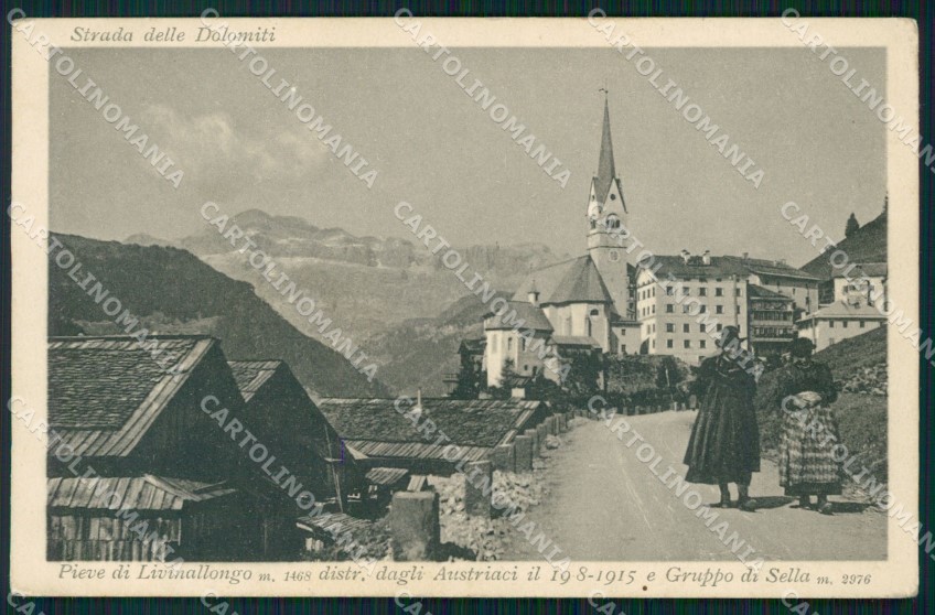 Belluno Pieve Di Livinallongo Group Saddle Postcard Vk4424 Ebay